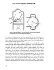 2-stroke tuners handbook tuners #128