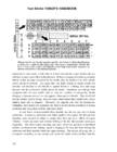 2-stroke tuners handbook tuners #148