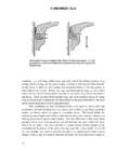 2-stroke tuners handbook tuners #21