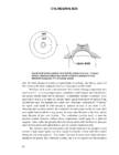 2-stroke tuners handbook tuners #51
