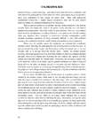 2-stroke tuners handbook tuners #55