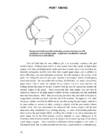 2-stroke tuners handbook tuners #89
