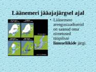 Lnemeri 9 klassidele #12