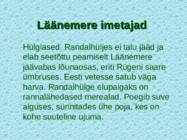 Lnemeri 9 klassidele #115