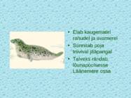 Lnemeri 9 klassidele #119