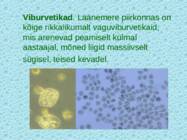Lnemeri 9 klassidele #60