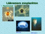 Lnemeri 9 klassidele #69