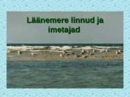 Lnemeri 9 klassidele #91