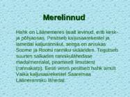 Lnemeri 9 klassidele #93