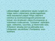 Tv-lk-37 #113