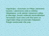 Tv-lk-37 #116