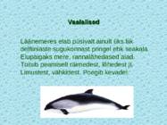 Tv-lk-37 #120