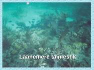 Tv-lk-37 #44