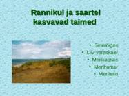 Tv-lk-37 #50