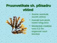 Tv-lk-37 #57