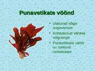 Tv-lk-37 #58