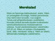 Tv-lk-37 #73