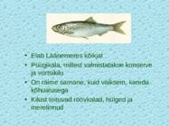 Tv-lk-37 #76