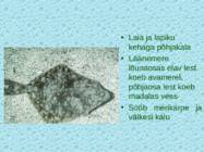 Tv-lk-37 #80