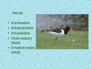 Tv-lk-37 #99