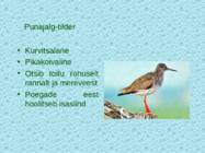 Tv-lk-37 #100