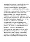 Metskitsed lugu