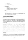 Portfoolio #16
