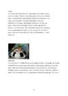 Portfoolio #21