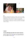 Portfoolio #24
