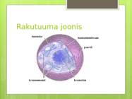 Bioloogia kontrolltöö paljunemine #6