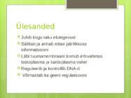 Bioloogia kontrolltöö paljunemine #7
