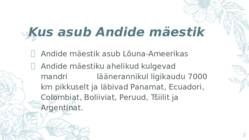 Andide mäestik #2