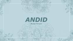 Andide mäestik
