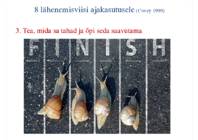 Tõhus ajakasutus #5