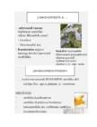 Mükoloogia kordamisküsimused #18