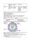 Bioloogia konspekt - viirused-geneetika-haigused #3