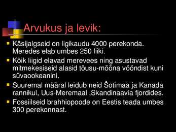 Käsijalgsetel ei ole käsi #9
