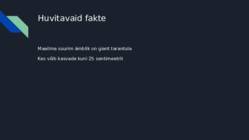 ÄMBLIKUD #10