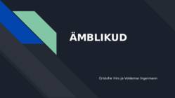 ÄMBLIKUD-1