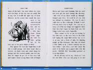 Alice in Wonderland #12