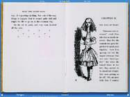 Alice in Wonderland #15