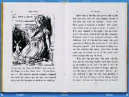 Alice in Wonderland #17