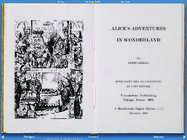 Alice in Wonderland #4