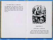 Alice in Wonderland #37