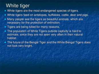 White Tiger #5