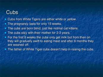 White Tiger #7