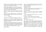 Keskaeg #6