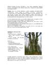 4-Puiduliigid #4