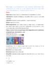 Loodusteaduste aluste konspekt #20