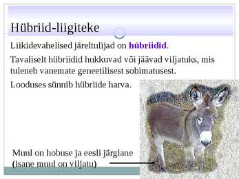 Liigiteke #11